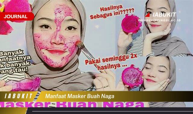Inilah 8 Manfaat Masker Buah Naga untuk Kulit Sehat dan Glowing Alami