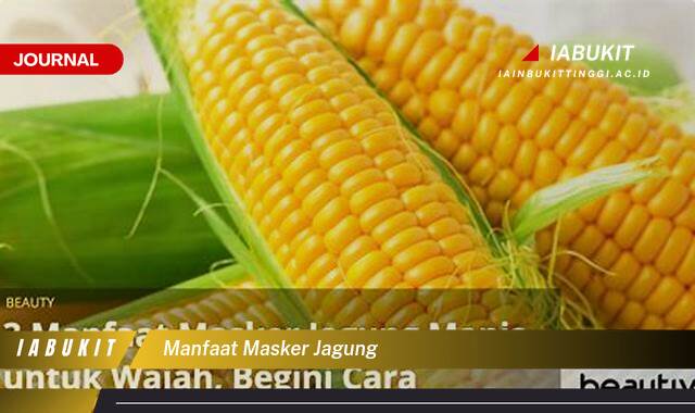 Inilah 9 Manfaat Masker Jagung, Rahasia Kulit Glowing Alami dan Bebas Jerawat