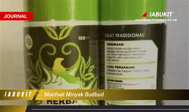 Inilah 10 Manfaat Minyak Budbud untuk Kesehatan Kulit dan Rambut Anda