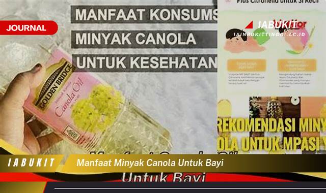 Inilah 9 Manfaat Minyak Canola untuk Bayi, Tumbuh Kembang Optimal dan Kesehatan Prima