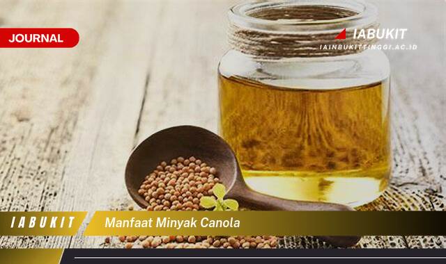 Inilah 10 Manfaat Minyak Canola Terlengkap, Kandungan Gizi, Kegunaan, dan Tips Memilihnya