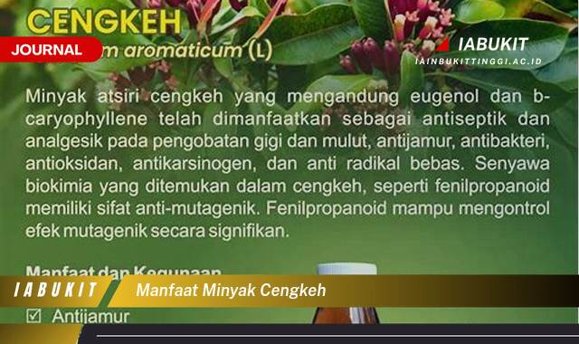 Inilah 9 Manfaat Minyak Cengkeh untuk Kesehatan Tubuh dan Kecantikan Anda Inilah 9 Manfaat Minyak Cengkeh untuk Kesehatan Tubuh dan Kecantikan Anda