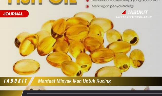 Inilah 9 Manfaat Minyak Ikan untuk Kucing, Meningkatkan Kesehatan & Kebahagiaan Si Meong Inilah 9 Manfaat Minyak Ikan untuk Kucing, Meningkatkan Kesehatan & Kebahagiaan Si Meong