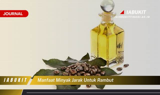 Inilah 10 Manfaat Minyak Jarak untuk Rambut, Rahasia Rambut Sehat, Kuat, dan Berkilau Alami
