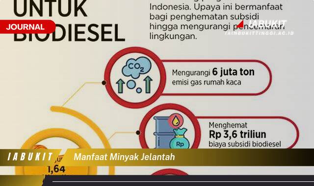 Ketahui 8 Manfaat Minyak Jelantah yang Tak Terduga dan Cara Memanfaatkannya dengan Aman Ketahui 8 Manfaat Minyak Jelantah yang Tak Terduga dan Cara Memanfaatkannya dengan Aman