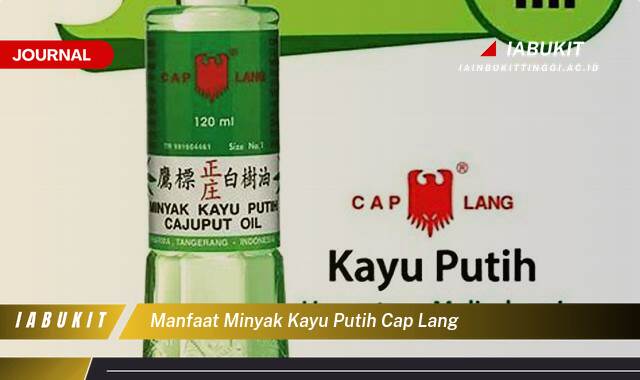 Inilah 8 Manfaat Minyak Kayu Putih Cap Lang untuk Meredakan Sakit Perut dan Hidung Tersumbat