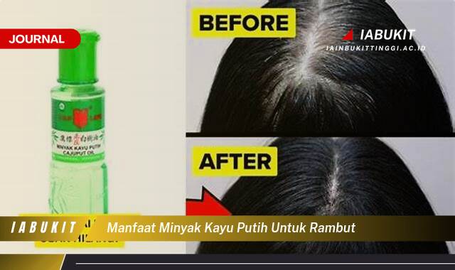 Inilah 10 Manfaat Minyak Kayu Putih untuk Rambut, Tips dan Cara Penggunaan yang Efektif