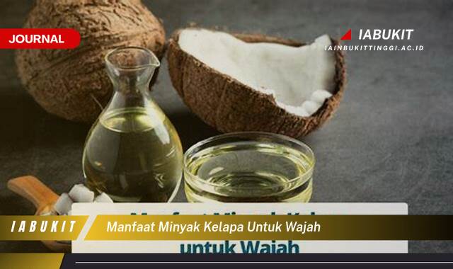 Inilah 10 Manfaat Minyak Kelapa untuk Wajah, Tips dan Cara Penggunaan untuk Kulit Bercahaya Inilah 10 Manfaat Minyak Kelapa untuk Wajah, Tips dan Cara Penggunaan untuk Kulit Bercahaya