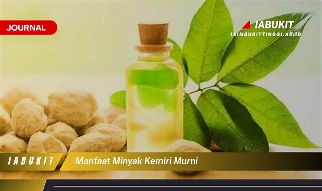 Inilah 9 Manfaat Minyak Kemiri Murni, Rahasia Rambut Sehat, Berkilau, dan Lebat Alami