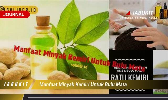 Inilah 9 Manfaat Minyak Kemiri untuk Bulu Mata Agar Lebih Panjang dan Lentik Alami