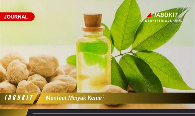 Inilah 9 Manfaat Minyak Kemiri untuk Rambut, Menumbuhkan, Melebatkan, dan Menghitamkan Secara Alami Inilah 9 Manfaat Minyak Kemiri untuk Rambut, Menumbuhkan, Melebatkan, dan Menghitamkan Secara Alami