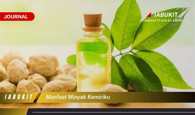 Inilah 8 Manfaat Minyak Kemiriku, Rahasia Rambut Sehat, Kuat, dan Berkilau Alami