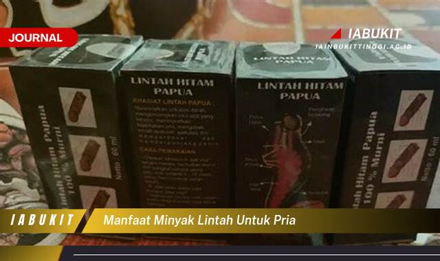 Inilah 8 Manfaat Minyak Lintah untuk Pria, Meningkatkan Vitalitas dan Performa Seksual