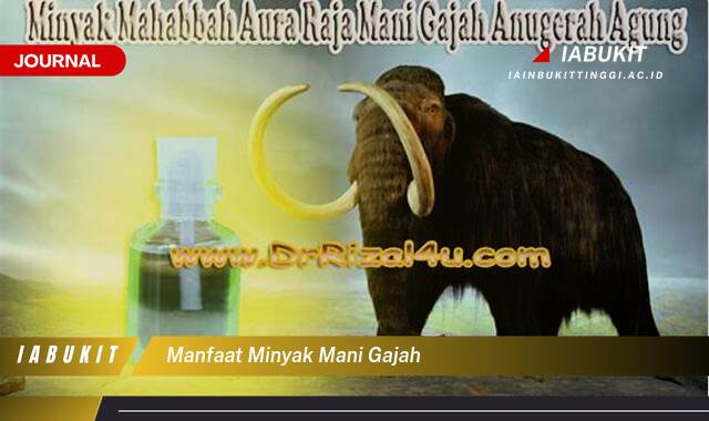 Inilah 9 Manfaat Minyak Mani Gajah untuk Kesehatan yang Perlu Anda Ketahui