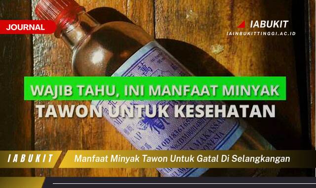 Inilah 8 Manfaat Minyak Tawon untuk Gatal di Selangkangan, Redakan Iritasi dan Gatal dengan Cepat!