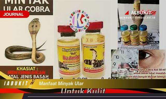 Inilah 8 Manfaat Minyak Ular untuk Kesehatan dan Kecantikan Kulit