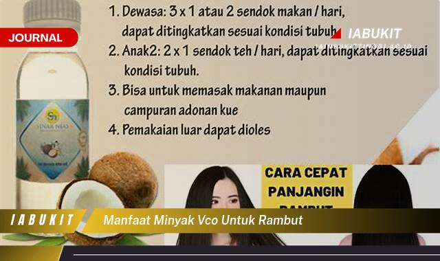 Inilah 8 Manfaat Minyak VCO untuk Rambut, Tips dan Cara Pemakaian yang Efektif Inilah 8 Manfaat Minyak VCO untuk Rambut, Tips dan Cara Pemakaian yang Efektif