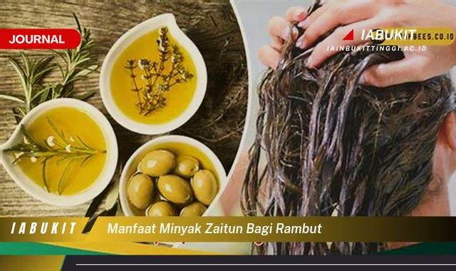 Inilah 10 Manfaat Minyak Zaitun Bagi Rambut, Rahasia Rambut Sehat, Berkilau, dan Kuat