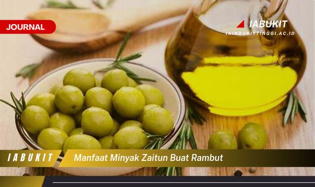 Inilah 10 Manfaat Minyak Zaitun untuk Rambut, Tips dan Cara Penggunaan untuk Hasil Maksimal Inilah 10 Manfaat Minyak Zaitun untuk Rambut, Tips dan Cara Penggunaan untuk Hasil Maksimal