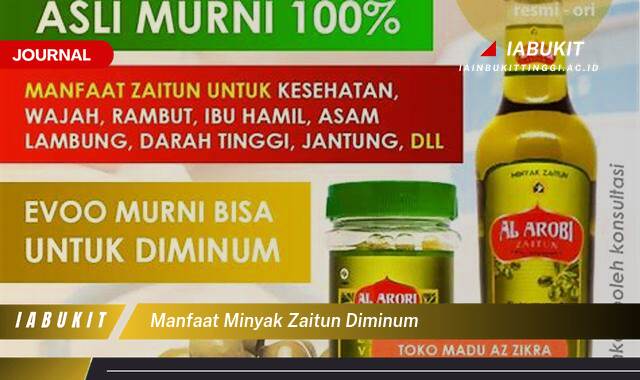 Inilah 8 Manfaat Minyak Zaitun Diminum, Rahasia Kesehatan Jantung, Kulit Cantik, dan Pencernaan Lancar