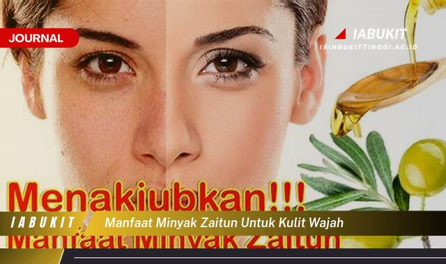 Inilah 8 Manfaat Minyak Zaitun untuk Kulit Wajah, Rahasia Kulit Cantik dan Sehat Alami Inilah 8 Manfaat Minyak Zaitun untuk Kulit Wajah, Rahasia Kulit Cantik dan Sehat Alami