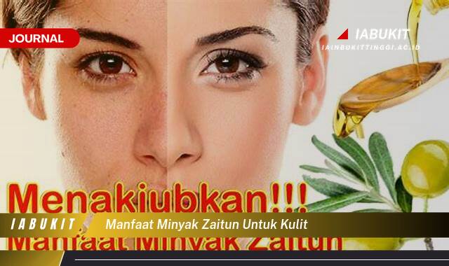 Inilah 10 Manfaat Minyak Zaitun untuk Kulit, Tips dan Cara Penggunaan untuk Kulit Sehat Bersinar Inilah 10 Manfaat Minyak Zaitun untuk Kulit, Tips dan Cara Penggunaan untuk Kulit Sehat Bersinar