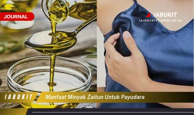 Inilah 9 Manfaat Minyak Zaitun untuk Payudara, Kesehatan, Kecantikan, dan Tips Penggunaan Inilah 9 Manfaat Minyak Zaitun untuk Payudara, Kesehatan, Kecantikan, dan Tips Penggunaan
