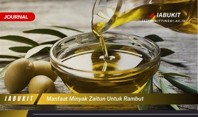 Inilah 8 Manfaat Minyak Zaitun untuk Rambut, Lebih Sehat, Berkilau, dan Kuat Secara Alami Inilah 8 Manfaat Minyak Zaitun untuk Rambut, Lebih Sehat, Berkilau, dan Kuat Secara Alami
