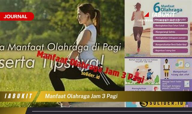 Inilah 9 Manfaat Olahraga Jam 3 Pagi, Meningkatkan Energi dan Fokus Seharian Inilah 9 Manfaat Olahraga Jam 3 Pagi, Meningkatkan Energi dan Fokus Seharian