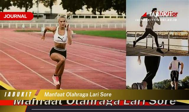 Inilah 10 Manfaat Olahraga Lari Sore untuk Kesehatan Fisik dan Mental Anda