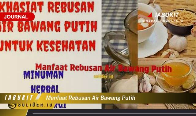 Inilah 9 Manfaat Rebusan Air Bawang Putih untuk Kesehatan Anda