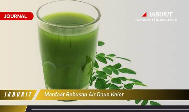 Inilah 10 Manfaat Rebusan Air Daun Kelor untuk Kesehatan Anda yang Terbukti Ampuh