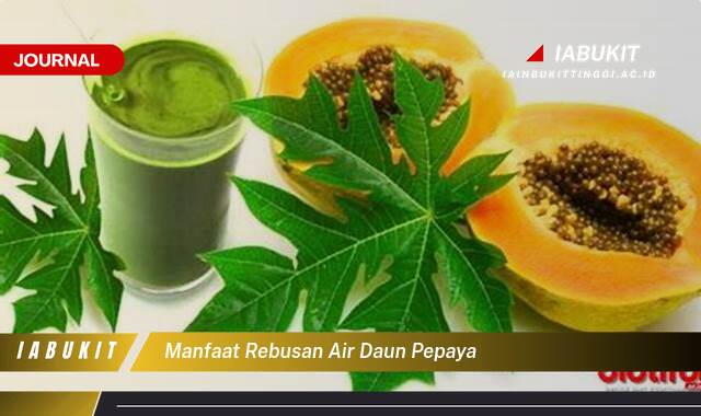 Inilah 8 Manfaat Rebusan Air Daun Pepaya, Obat Alami Demam Berdarah, Pencernaan Lancar, dan Lebih Banyak Lagi!