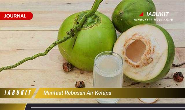 Inilah 9 Manfaat Rebusan Air Kelapa untuk Kesehatan Tubuh Anda