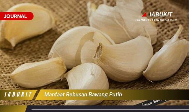 Inilah 9 Manfaat Rebusan Bawang Putih untuk Kesehatan, Kecantikan, dan Cara Membuatnya Inilah 9 Manfaat Rebusan Bawang Putih untuk Kesehatan, Kecantikan, dan Cara Membuatnya