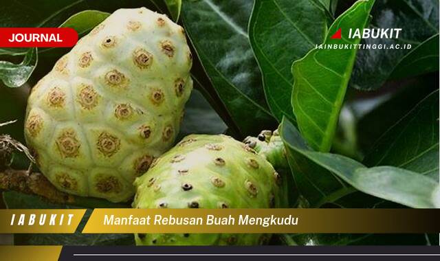 Inilah 10 Manfaat Rebusan Buah Mengkudu untuk Kesehatan Tubuh Anda