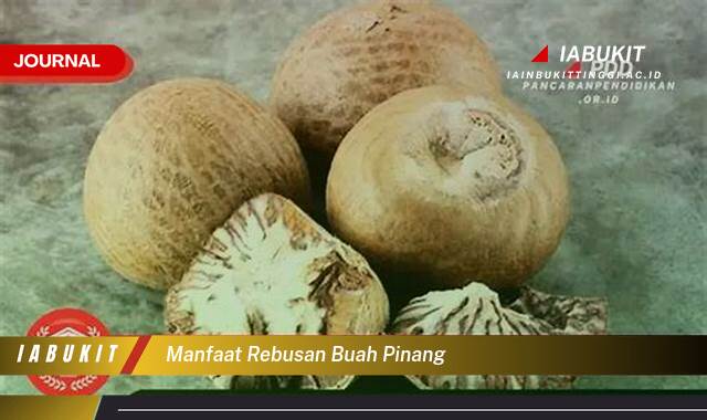 Inilah 8 Manfaat Rebusan Buah Pinang, Khasiat Tersembunyi untuk Kesehatan Anda