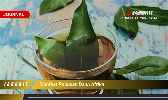 Inilah 8 Manfaat Rebusan Daun Afrika untuk Kesehatan Jantung dan Sistem Imun