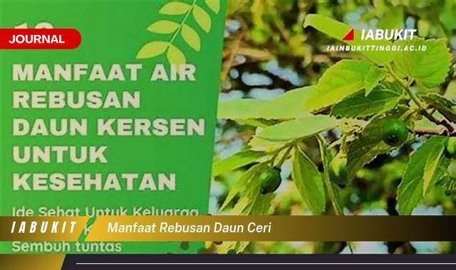 Inilah 9 Manfaat Rebusan Daun Ceri untuk Kesehatan Anda yang Menakjubkan