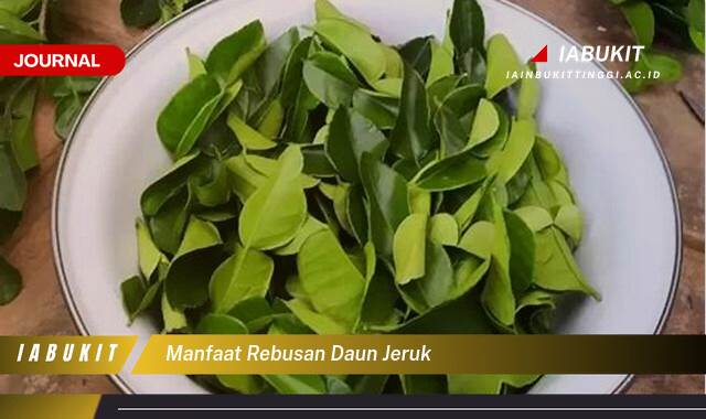 Inilah 8 Manfaat Rebusan Daun Jeruk, Rahasia Sehat Alami untuk Kulit, Pencernaan, dan Imunitas Tubuh