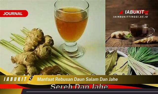 Inilah 9 Manfaat Rebusan Daun Salam dan Jahe untuk Kesehatan Tubuh Anda