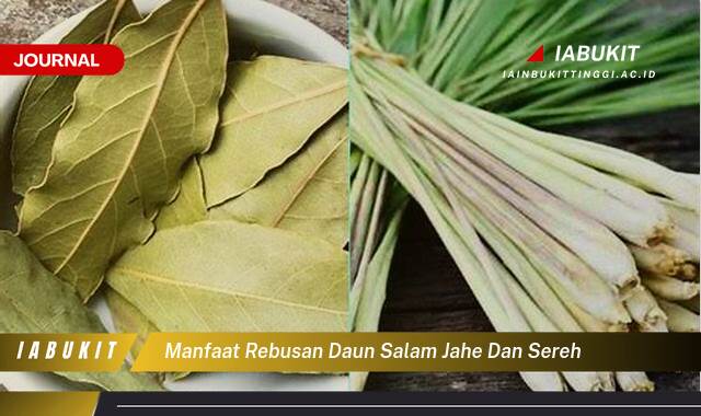 Inilah 8 Manfaat Rebusan Daun Salam Jahe dan Sereh untuk Kesehatan Tubuh Anda