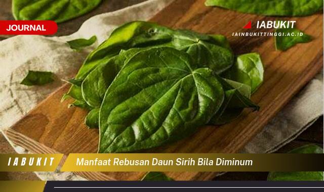 Inilah 8 Manfaat Rebusan Daun Sirih Bila Diminum untuk Kesehatan Tubuh Anda Inilah 8 Manfaat Rebusan Daun Sirih Bila Diminum untuk Kesehatan Tubuh Anda