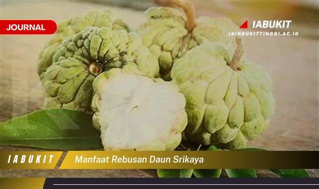 Inilah 9 Manfaat Rebusan Daun Srikaya, Rahasia Kesehatan Alami dari Dapur Anda