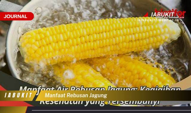 Inilah 9 Manfaat Rebusan Jagung untuk Kesehatan, Dari Pencernaan hingga Jantung Sehat