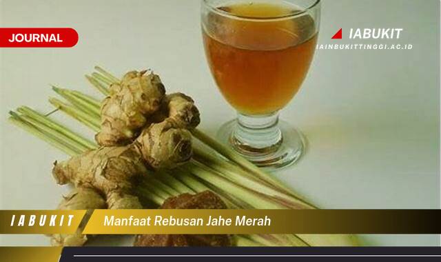 Inilah 8 Manfaat Rebusan Jahe Merah, Redakan Nyeri Sendi hingga Tingkatkan Imunitas Tubuh!