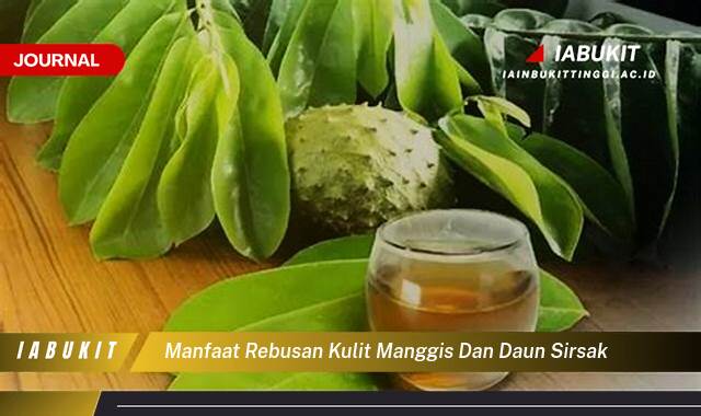 Inilah 10 Manfaat Rebusan Kulit Manggis dan Daun Sirsak untuk Kesehatan Tubuh Secara Menyeluruh