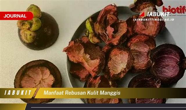 Inilah 8 Manfaat Rebusan Kulit Manggis untuk Kesehatan Anda yang Menakjubkan Inilah 8 Manfaat Rebusan Kulit Manggis untuk Kesehatan Anda yang Menakjubkan
