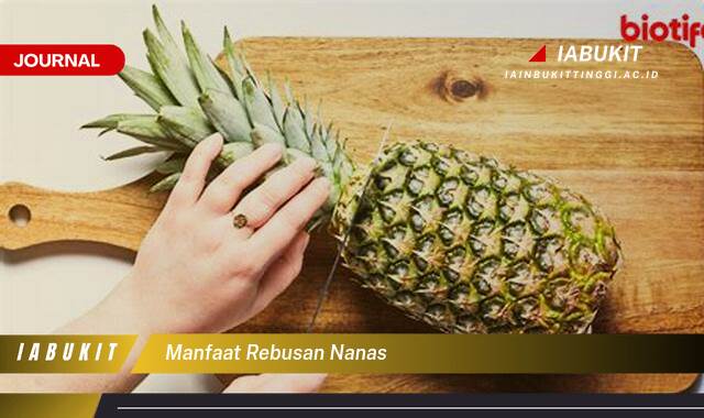 Inilah 10 Manfaat Rebusan Nanas untuk Kesehatan Tubuh Anda