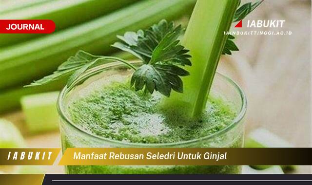 Inilah 10 Manfaat Rebusan Seledri untuk Ginjal, Kesehatan Optimal Alami